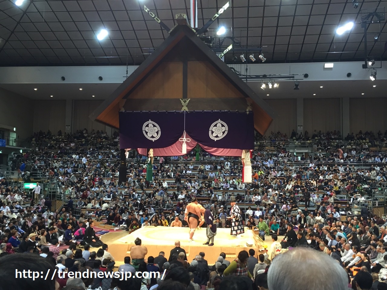 相撲の席を種類別に詳しく解説!席別の注意点など 生活いろいろ情報サイト